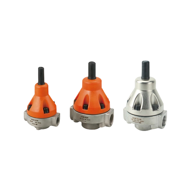 Stainless Steel Safety Valve/Back Pressure Valve